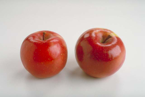 Cire de Fruits