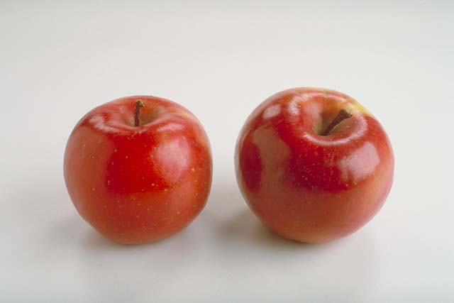 Cire de Fruits