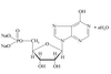 5'-ribonucléotide disodique (I+G)